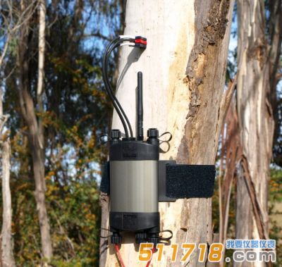 澳大利亞ICT SFM1 Sap植物莖流計(jì)