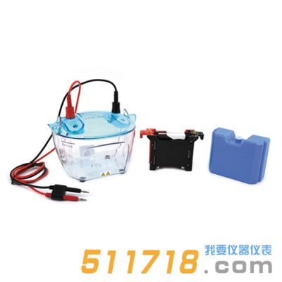 北京六一 DYCZ-40K 轉(zhuǎn)印電泳儀