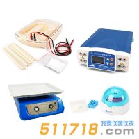 北京六一 泳強快速蛋白電泳檢測系統(tǒng)