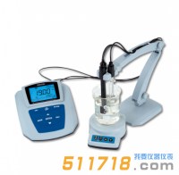 MP519氟離子濃度計(jì)