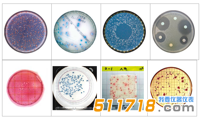 1534146096341502.png 法國(guó)interscience Scan 1200自動(dòng)菌落計(jì)數(shù)器1.png