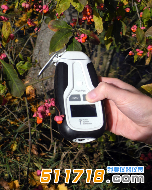 1573182208767957.png 捷克PSI FluorPen FP110手持式葉綠素熒光儀3.png