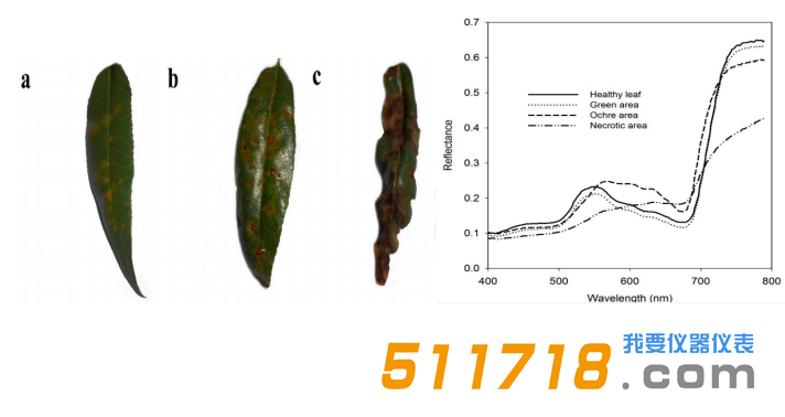 1573552156300018.png 應用案例.png