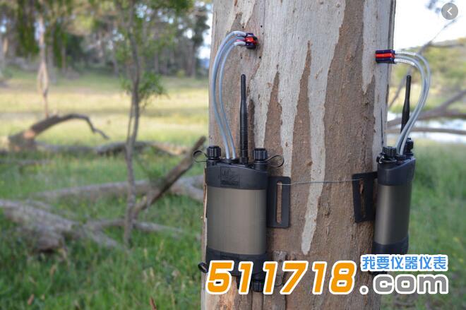 SFM1 Sap植物莖流計(jì).jpg SFM1 Sap植物莖流計(jì).jpg