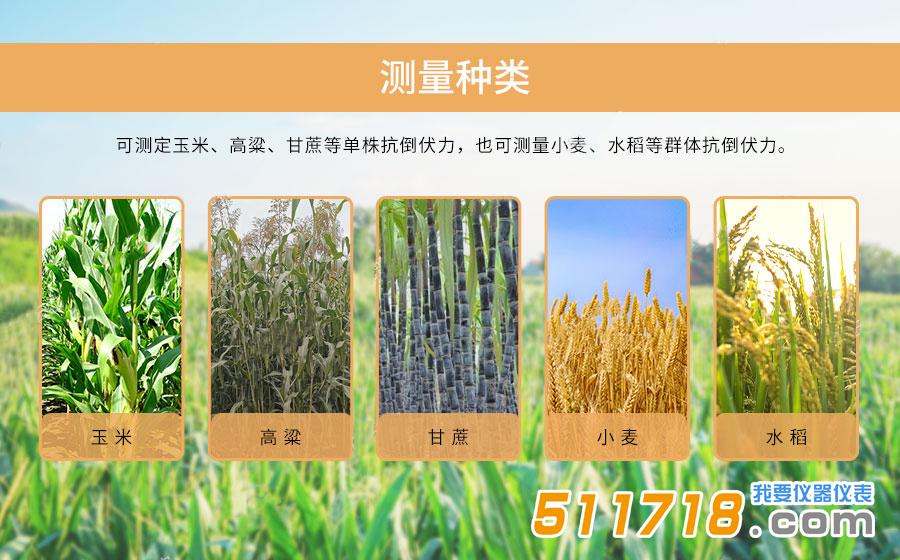 活體抗倒伏測定儀.jpg 活體抗倒伏測定儀.jpg