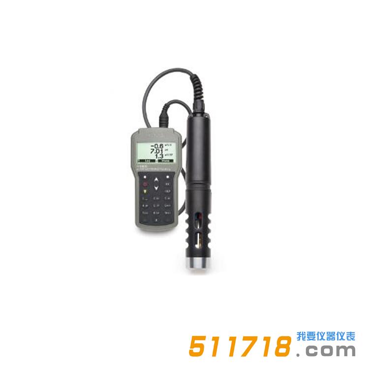 1717481310387813.jpg 意大利HANNA(哈納)HI98195多參數(shù)水質(zhì)測定儀1.jpg