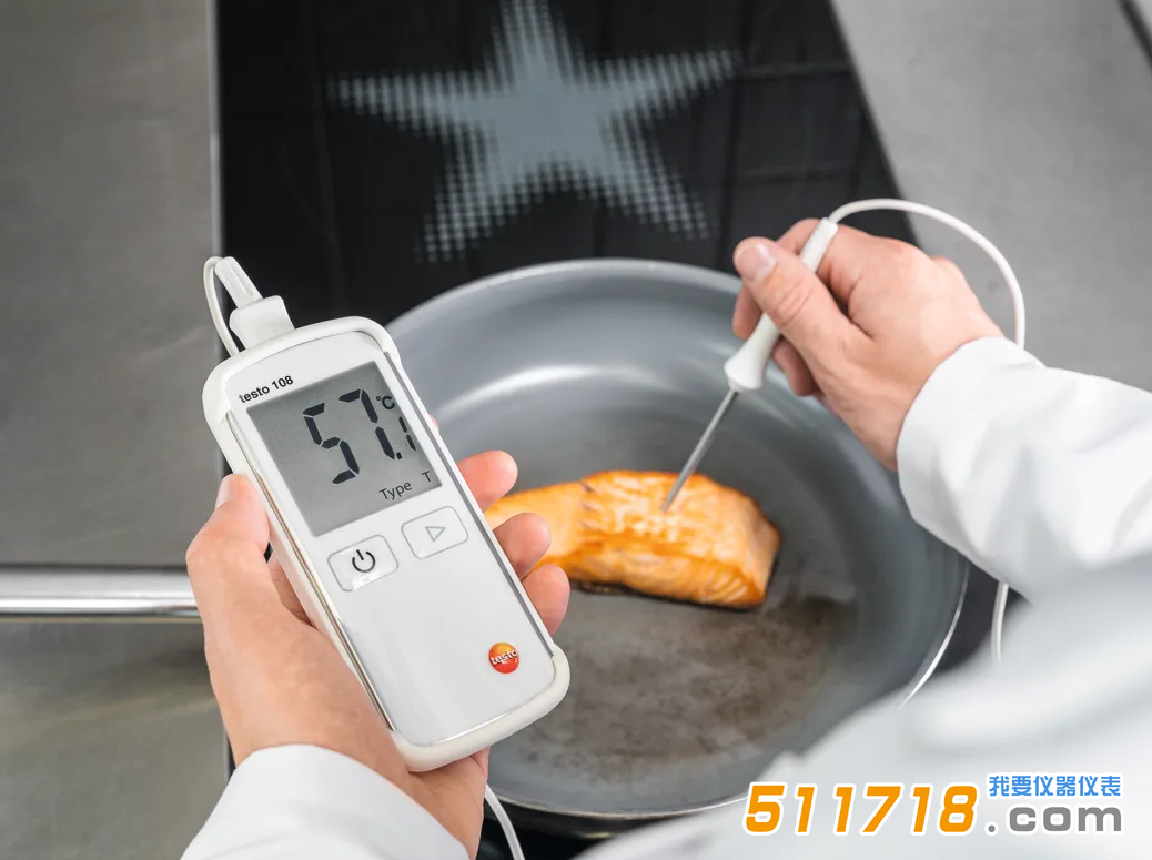 德國德圖testo 108食品溫度計(jì).png